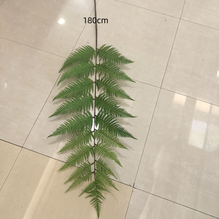 180cm