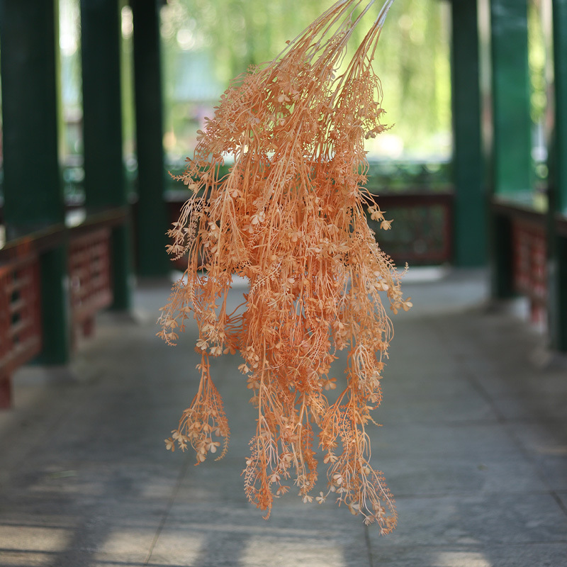 orange color