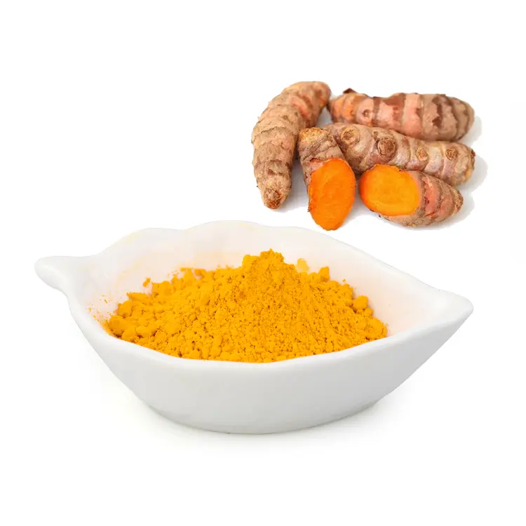 Curcumina em pó 95% usp de alta qualidade, extrato de curcumina turmeric