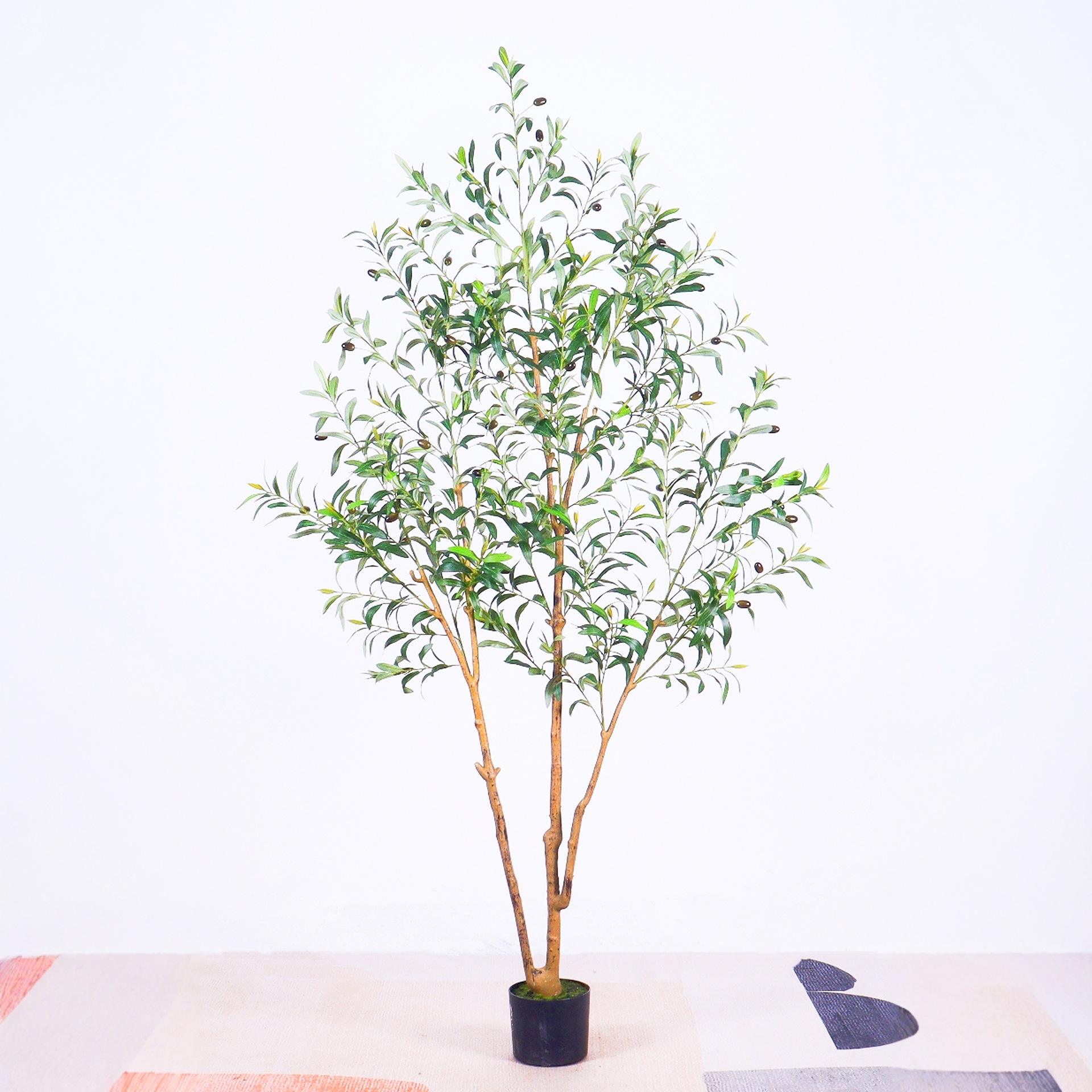 1,8 m olivier de forme spéciale (version cryptée)