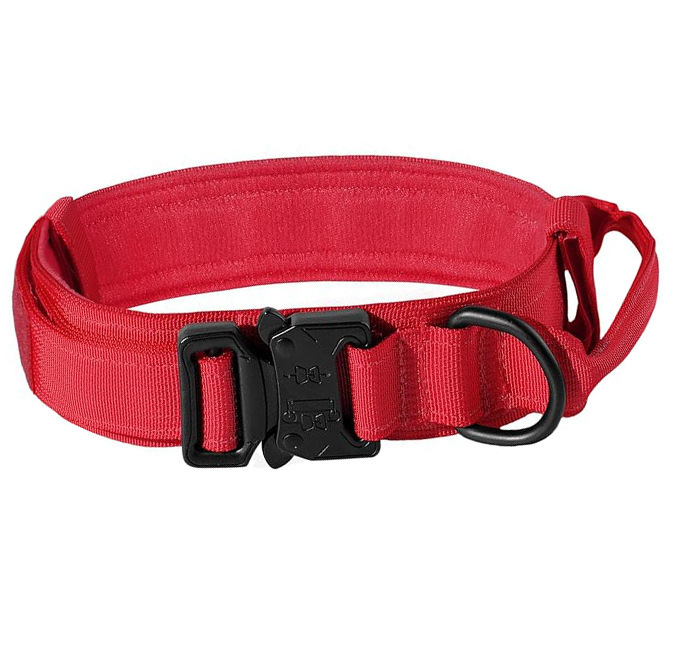 Amazon collar rojo