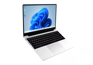 15.6&quot; IdeaPad 1 Laptop AMD Dual-core Processor 15.6&quot; HD Anti-Glare Display 256GB Notebook Win 10 <strong>Netbook</strong>
