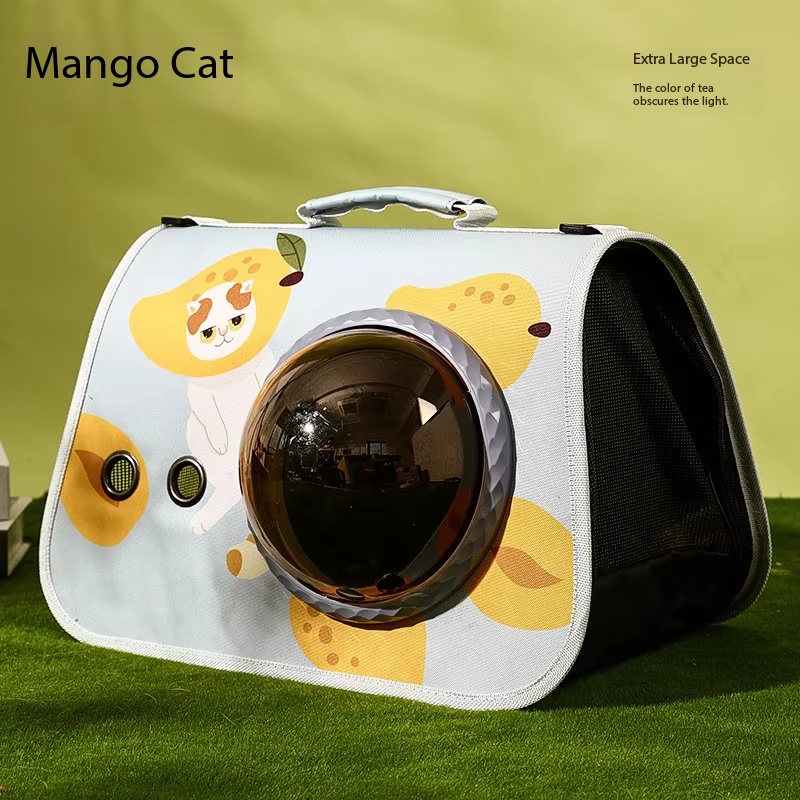 Mango cat