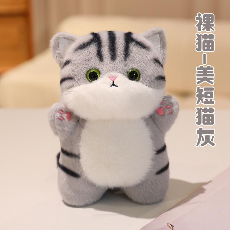 Naked cat - american shorthair cat gray