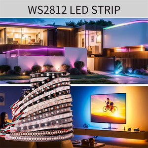 Высококачественный rgb свет ws2812b Светодиодная лента <span class=keywords><strong>ws2811</strong></span> DC12v 5v 24v 10 мм адресуемый пиксельный светодиодный контроллер света Умный программируемый - Product Image 3