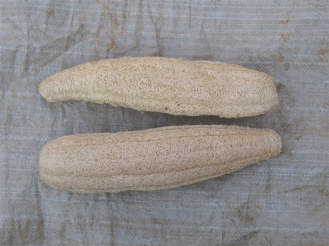 Natural colour over61cm