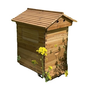 Australian Auto Wooden Bee Hive Factory Supply Automatic Beehive Wholesale Wooden Hive Agricultural Machinery &amp; Equipment - Product Image 4
