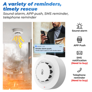 Nuevo lanzamiento Tuya Smart Life APP Control WIFI Sensor de humedad de temperatura de humo alimentado por batería AAA - Product Image 5