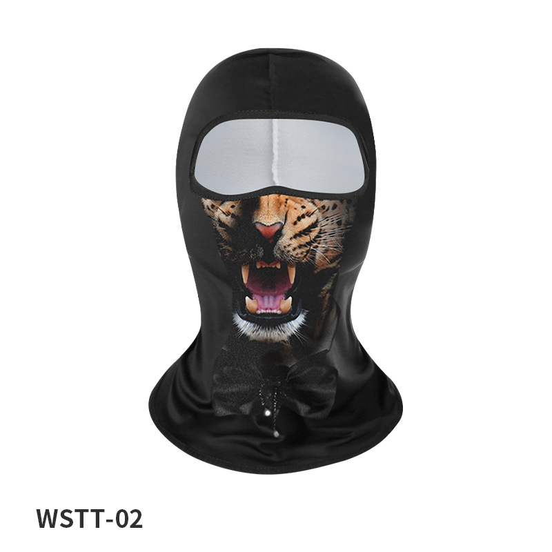 WSTT-02