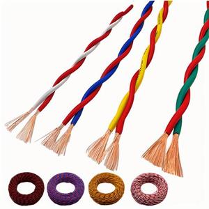 2G 1.0 2 * 1.0mm ² PVC bükücüler çift kontrol sinyal kablosu bina kontrol sistemleri için H03V2V2-F telli iletken tipi - Product Image 3
