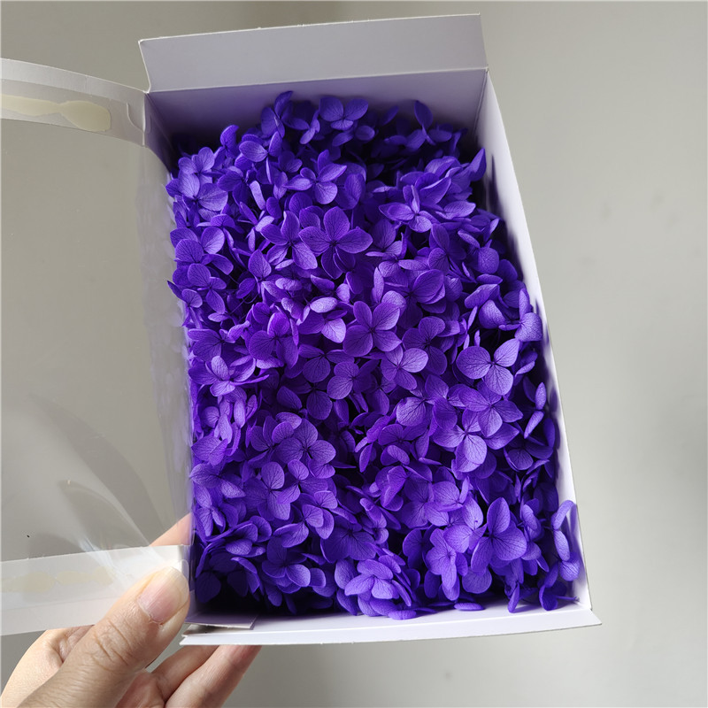 Violeta