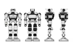 Yanshee Humanoid <strong>Robot</strong> With Development Sensor Educational Advanced <strong>Robotic</strong> for Kids