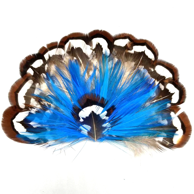 couleur 1