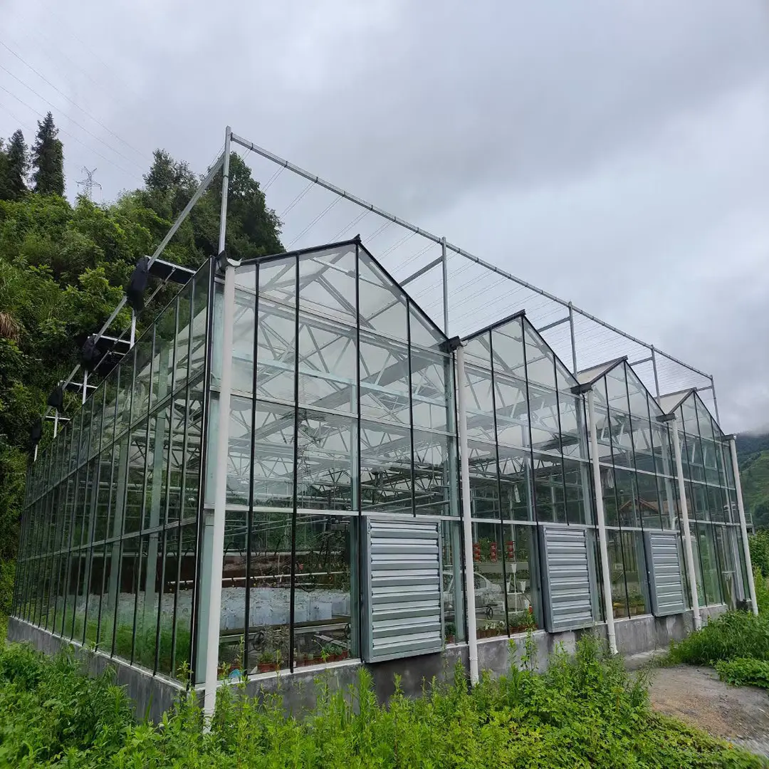 トマト水耕栽培システムグラスハウスマルチスパン強化ガラス温室野菜用