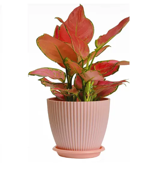 Pots de fleurs décoratifs modernes en PP avec trou de Drainage et plateau de Base, soucoupe, Pot de fleurs en plastique