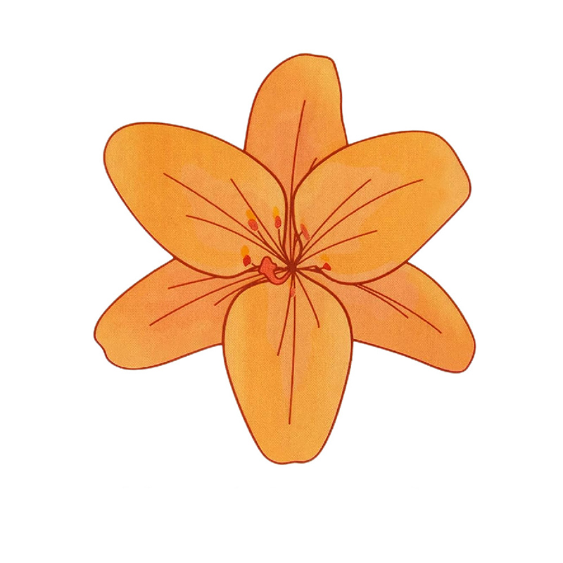 Style lys orange