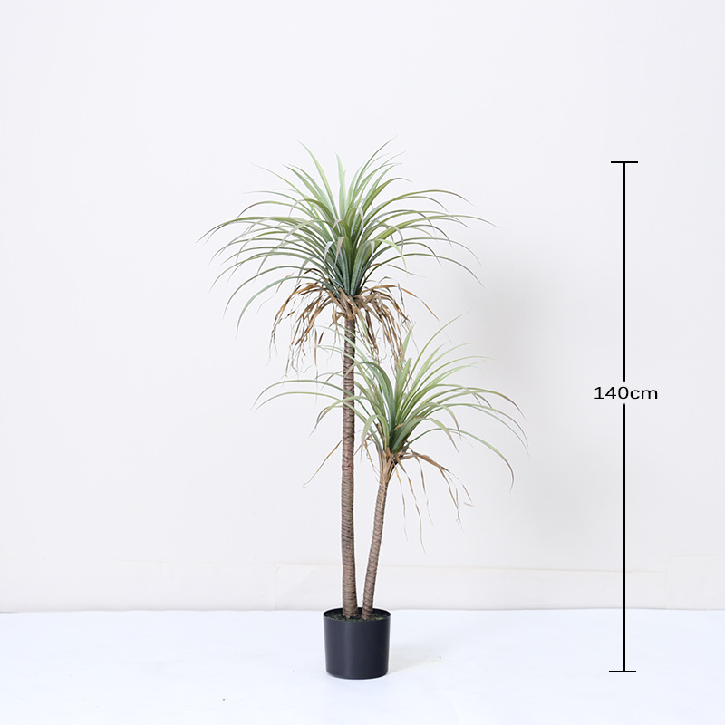 Yucca à deux tiges - 140 cm