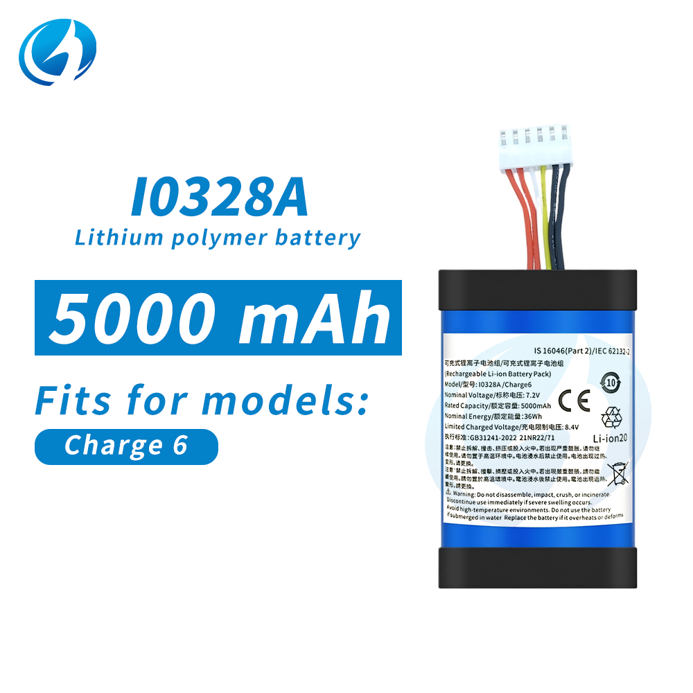 CHARGE 6