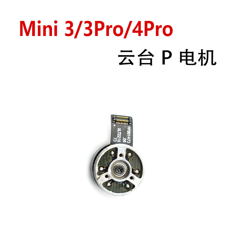Ptz p motor-disassembled
