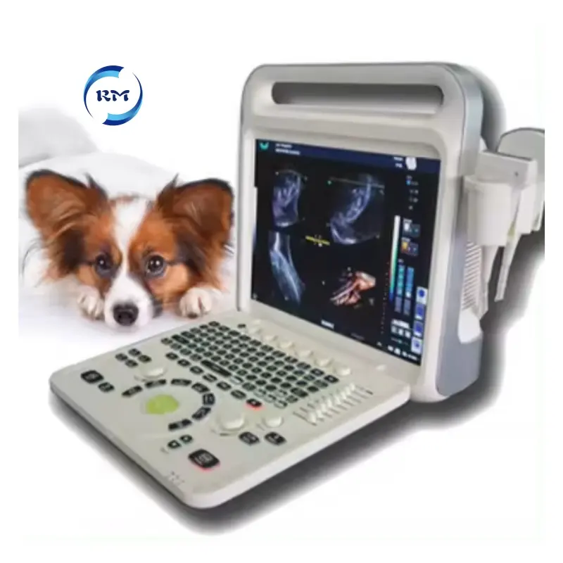 Vendita calda Vet strumenti ad ultrasuoni portatili 3D 4D sistema di colore doppler veterinaria macchina ad ultrasuoni per gli animali