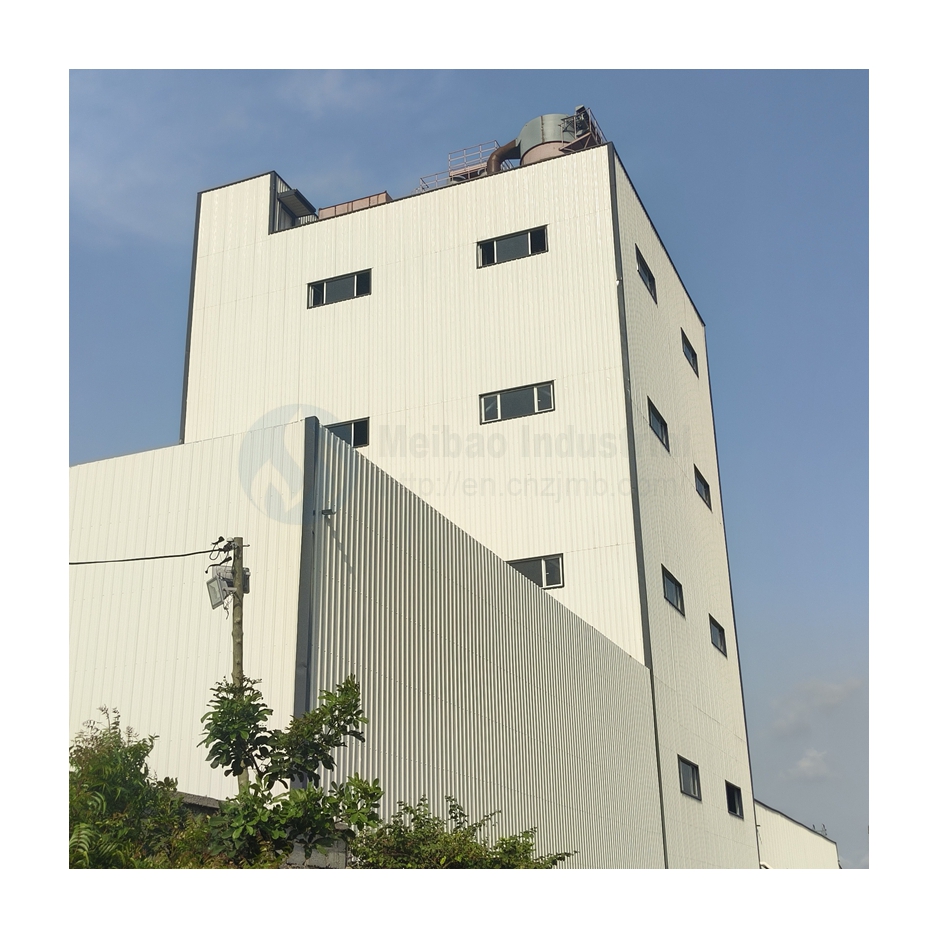 Detergent Powder Plant
