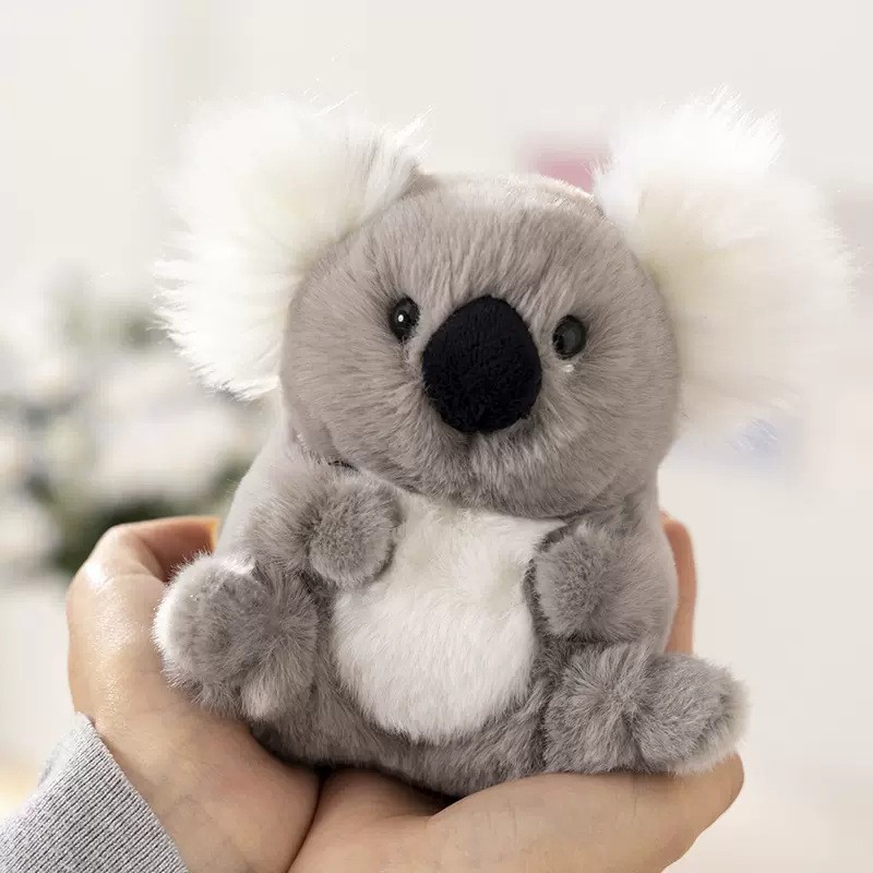 koala gris