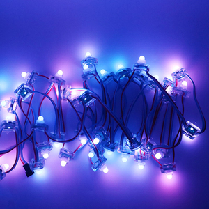 2024 LED-Knoten 12MM Digital RGB Square WS2811 IC Pixel Modul String 5V 12V Wasserdicht 2811 Individuell adressierbares Licht