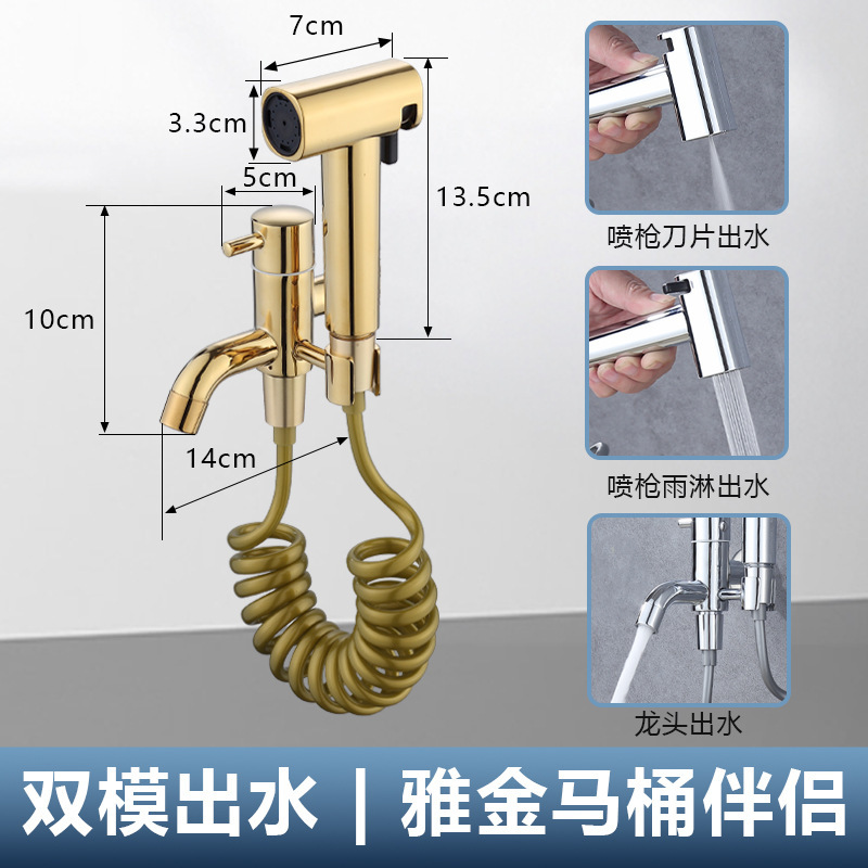 Ya gold-double faucet spray gun set 2m telescopic tube