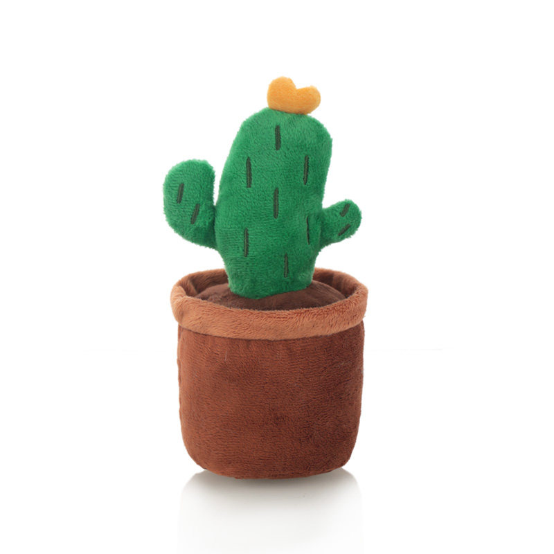 Petit cactus destructeur de maisons