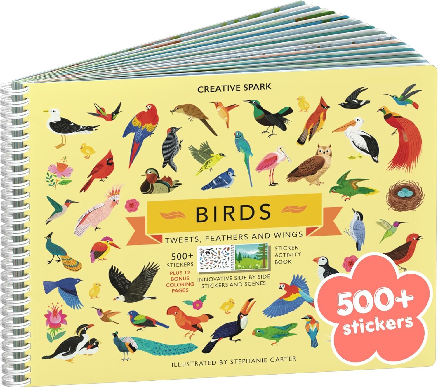 Birds