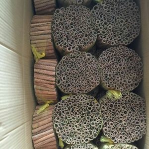 批发价格中国香料高品质有机肉桂棒肉桂卷