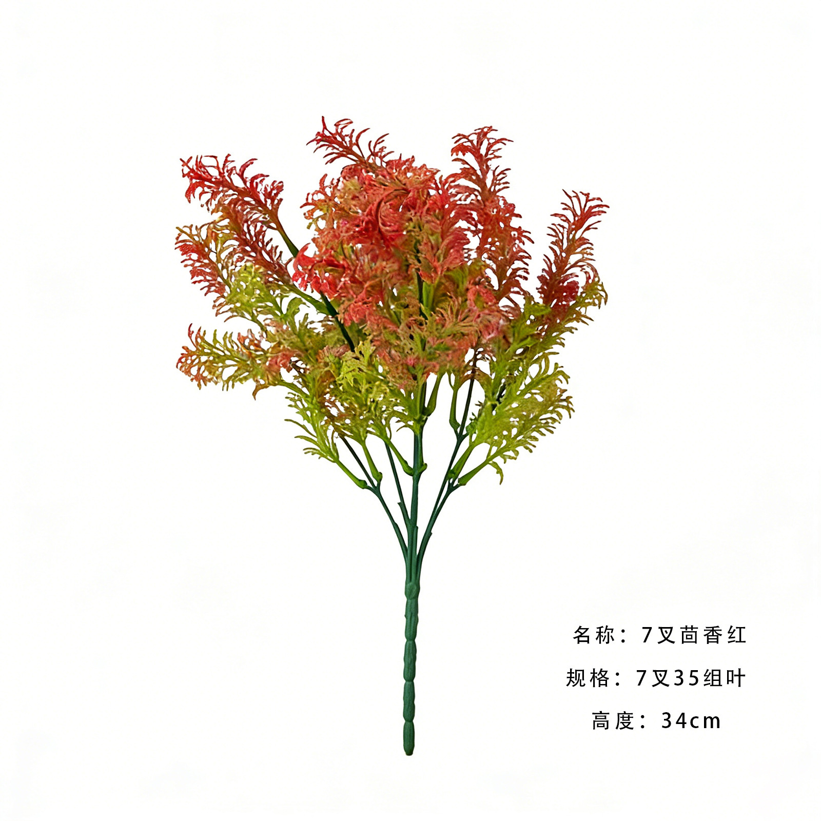 7 fork fennel red one sprig