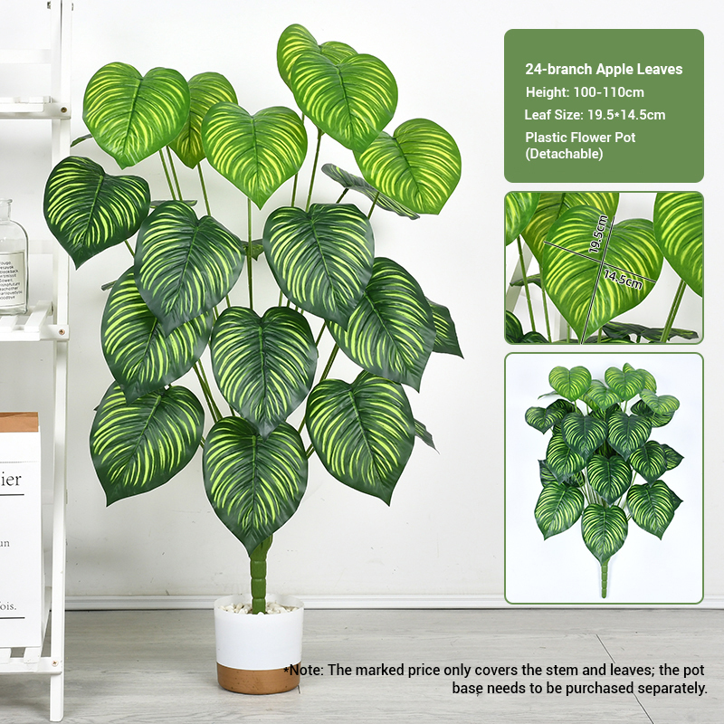 24 fork apple leaves (100-110cm)