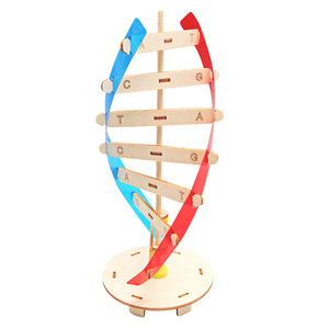 DNA çift sarmal yapısı modeli teknolojisi küçük el yapımı diy İnsan gen biyolojik bilim deney ekipmanları DNA modeli - Product Image 1