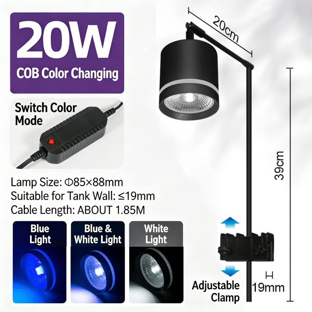 Lumière 20W