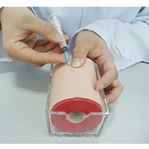 Modelo de inyección multifuncional para entrenamiento en ciencias médicas - Product Image 2