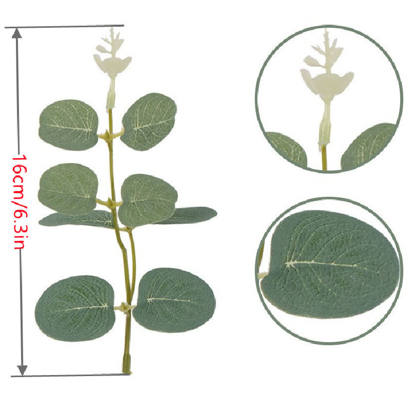 Feuille d'eucalyptus verte 15 cm - tête blanche