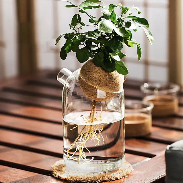 Creative Table Indoor Hydroponic Plant Round Nordic Decorative Clear Small Flower Bottle Wedding Vases
