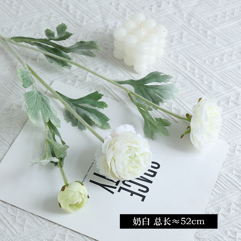 #4 milk white