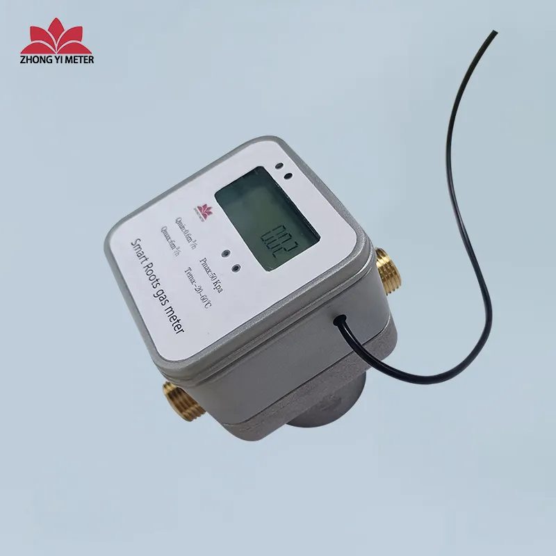 RS485 LPG /LNG gas meter / smart gas meter