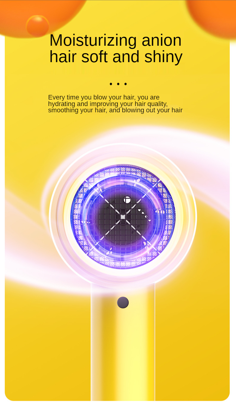 Hot Selling 800W Salon Professional DC Motor Concentrator/Ionic and Induction Function Professional blow Hair dryer