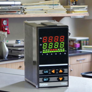 Controlador de termostato PID Teshow TS84E, una salida, controlador de temperatura de 48mm * 96mm, todas las entradas, Material plástico, compatible con OEM y ODM - Product Image 4