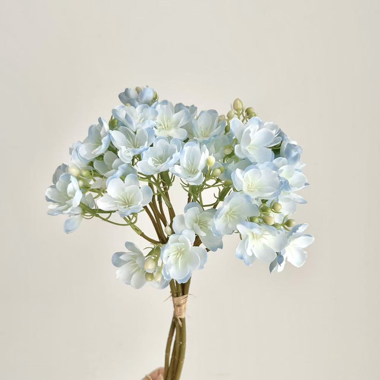Bleu-4 pièces