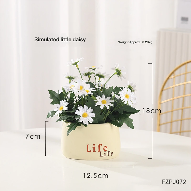 Small Daisy