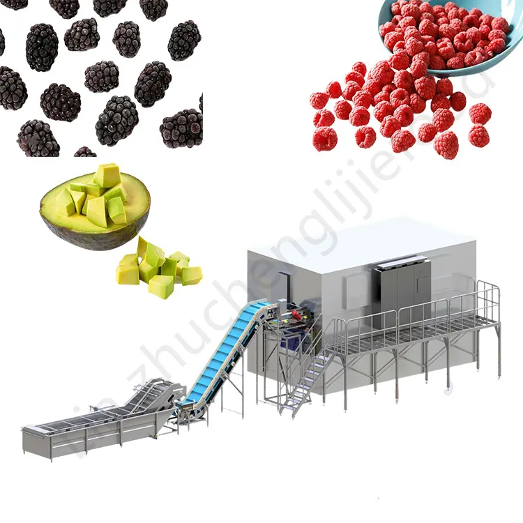 工業用野菜果物シーフード調理済み食品フレンチフライベリーマンゴーブラックベリーIQF流動床冷凍機