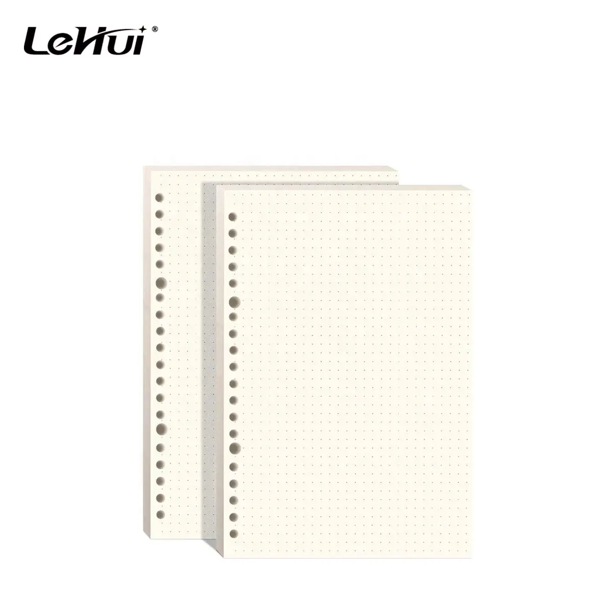 Chinesischer Lieferant Weiß 6 3/4x4 1/8 Zoll 160 Seiten 6 Löcher ausgekleidet Nachfüll bares weißes Loseblatt-Füll papier