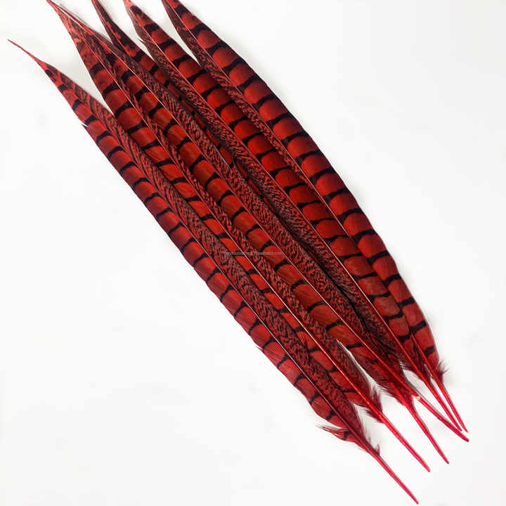 Groothandel Rode Fazant Veer Dame Amherst Voor Ambachten Decor Diy Carnaval Bruiloft Accessoires Decoratie Pluimen