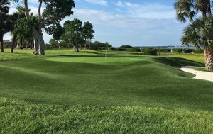 Common Use Artificial Grass <strong>Turf</strong> Carpet with High Density <strong>PE</strong> for Golf Courses Shuffle Board Courts and Bocce Ball Courts - Product Image 6