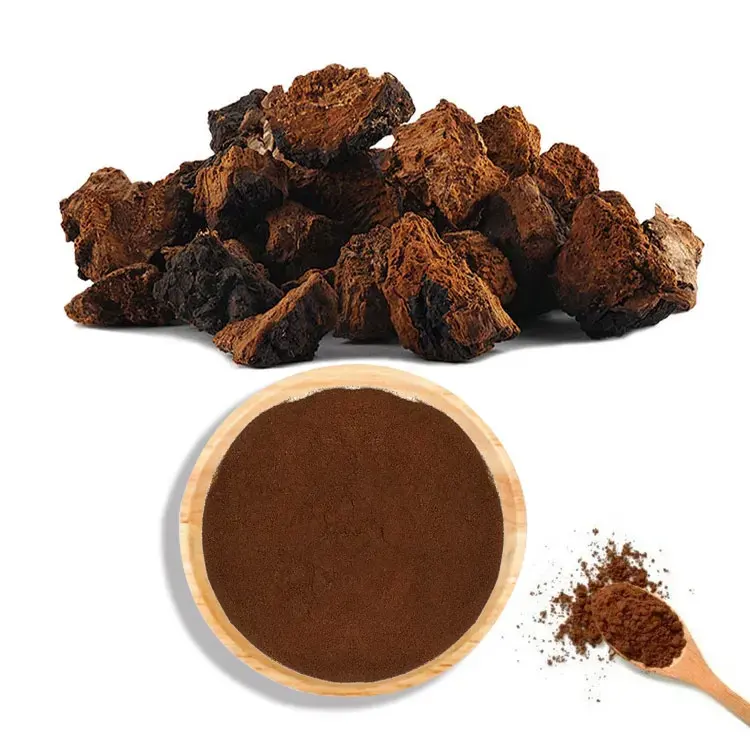 كبسولات مساحيق عضوية Chaga وchaga من العلامة الخاصة