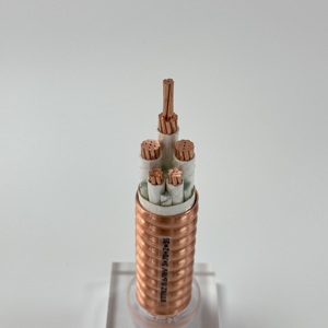 铜芯压花铜护套防火电线电缆BTTRZ 3级芯4-500平方米库存 - Product Image 4